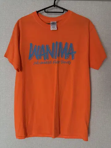 WANIMA PIZZA OF DEATH 티셔츠 M 사이즈