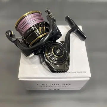 22 CALDIA SW 5000D-CXH