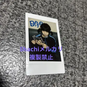 아노 짱 체키