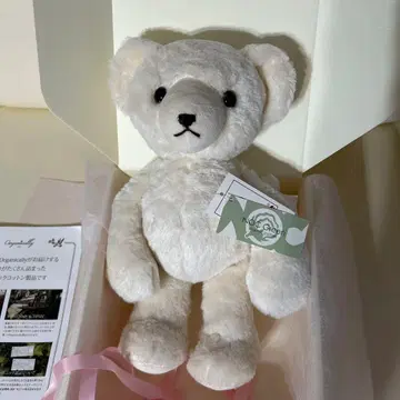 테디베어 다이칸야마 오가니카리 봉제 인형 미사용 새상품