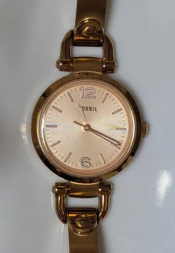 FOSSIL 골드 아날로그 손목시계