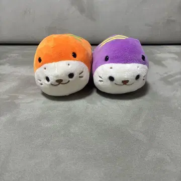 츠치노코탄 시로탄 할로윈 오렌지 보라색