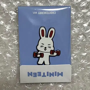 미니틴 MINITEEN SEVENTEEN 핀 배지 에스크쿱스