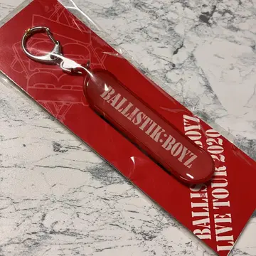 BALLISTIK BOYZ 후카호리 미쿠 스케이트보드 키링
