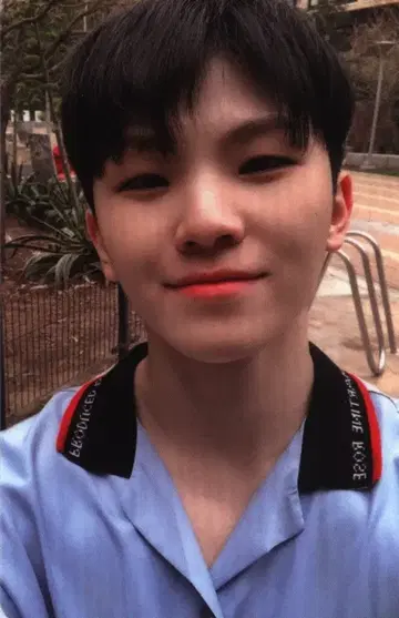SEVENTEEN WOOZI [Heng:garae] HANA ver.