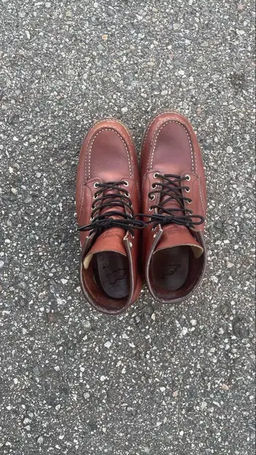 레드윙 아이리쉬 세터 9106