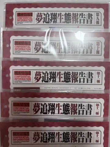 니지산지 유메오이 카케루 회보