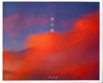 피에북스 HABU 하늘색