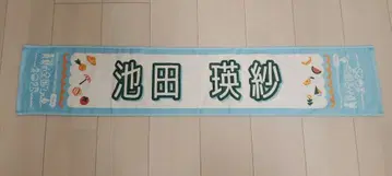 이케다 에이사 머플러 타월 2025