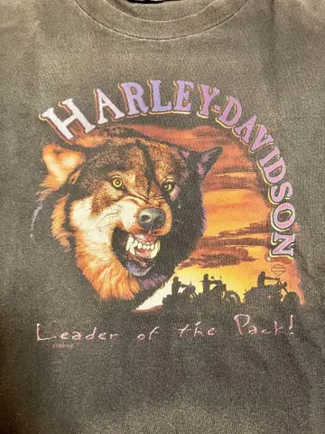 HARLEY-DAVIDSON 구제 티셔츠
