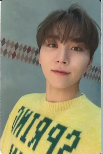 SEVENTEEN CARAT반 승관 사랑의 힘