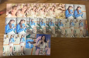 TWICELAND 지효 랜트레