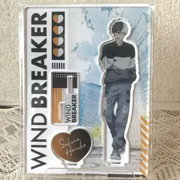 wind breaker 사쿠라 하루카 아크릴 스탠드 glasses