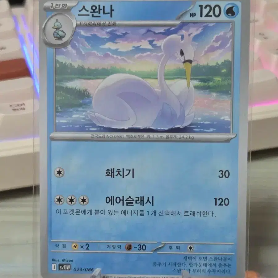 Pokemon Card Swanna on Bunjang Global Site. Pokemon Card Swanna on Bunjang Global Site.