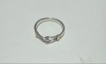 가든 오브 에덴 반지