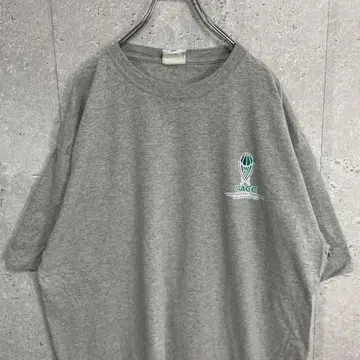 챔피온 칼리지 프린트 팀 로고 농구 빅사이즈 T셔츠 2XL
