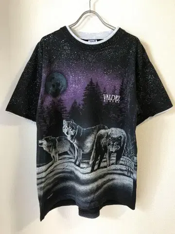 vintage ALASKA 티셔츠