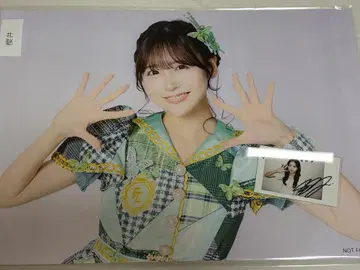 사쿠라이 유이 사인 폴라로이드 포스터 세트