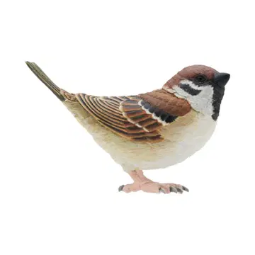 NTC Nature of Japan 일본의 생물 3 스즈메