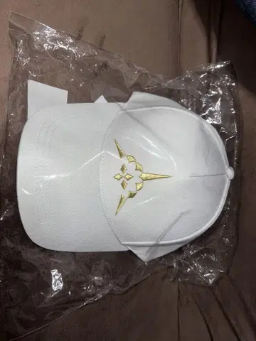 Fate/GrandOrder 아르토리아 캐스터 캐스토리아 모자