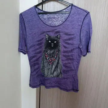 셔츠 고양이