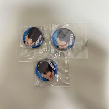 나나세 하루카 쿄애니 애니메이션 캔뱃지 Free!