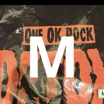 ONE OK ROCK 원오크 2025 t셔츠