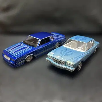 1/24~1/25 몬테카를로