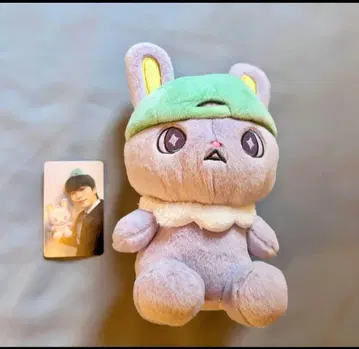 JO1 치마타 키마타 쇼야 봉제 인형 트레이딩 카드 포함