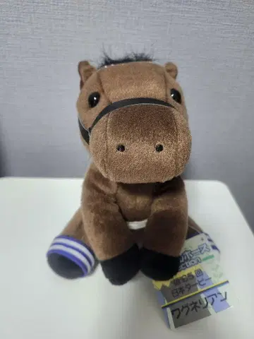 아이돌 호스 [바그네리안/18 일본 더비] (M 사이즈)