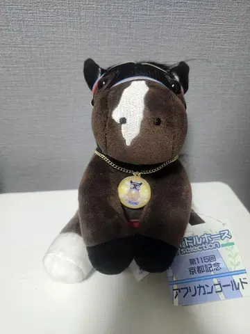 아이돌 호스 [ 아프리칸 골드 / '22 교토 기념 ] (M 사이즈)