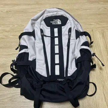 THE NORTH FACE 백팩 BIG SHIOT