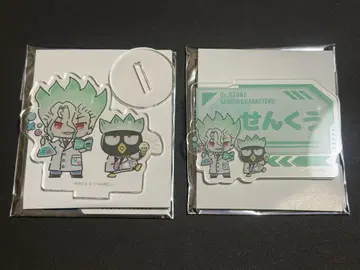 Dr. STONE 이시가미 센쿠 산리오 흰 옷