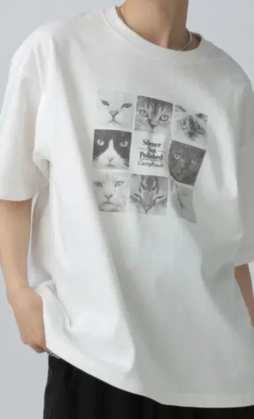 LEPSIM PET 사진 T 고양이