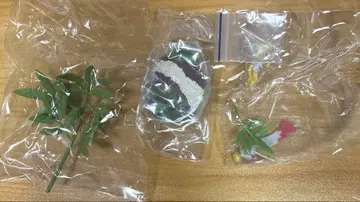 포켓몬 BONSAI 지라치&치린