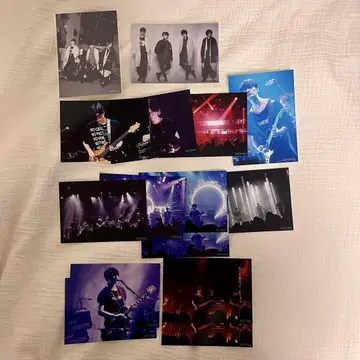 Sir Vanity 브로마이드 묶음 판매
