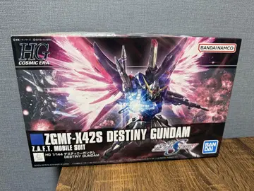 HG 1/144 ZGMF-X42S 데스티니 건담