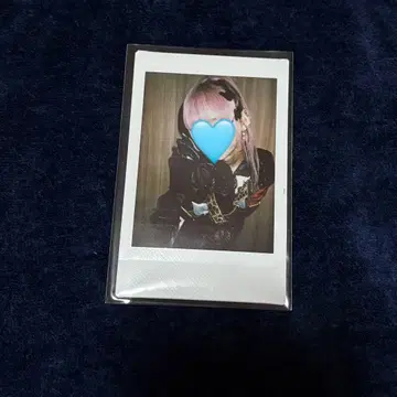 린츠 나고야 하야테 폴라로이드