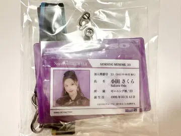 사원증 오다 사쿠라