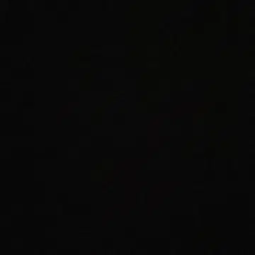 SEIB