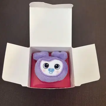 twice 사나 봉제 인형 반지 반지 샾리 this is for