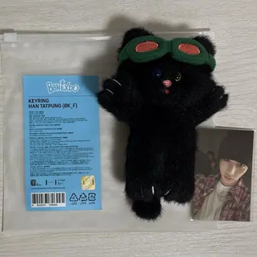 BOYNEXETDOOR 보넥도 프넥도 봉제 인형 키링 태산