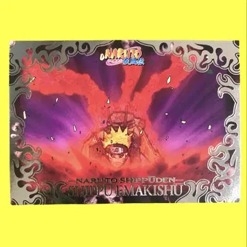 NARUTO 질풍회권집 No.025 우즈마키 나루토 2