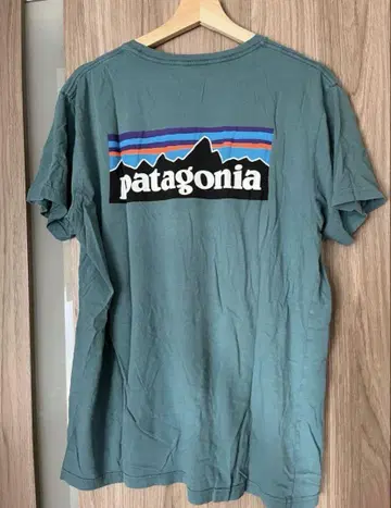 patagonia T셔츠 남성용 L 사이즈