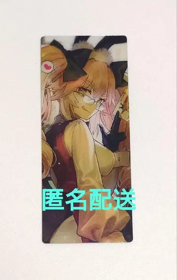 FGO 최종재림전 편성 화면풍 카드 어쌔신 빛의 코얀스카야
