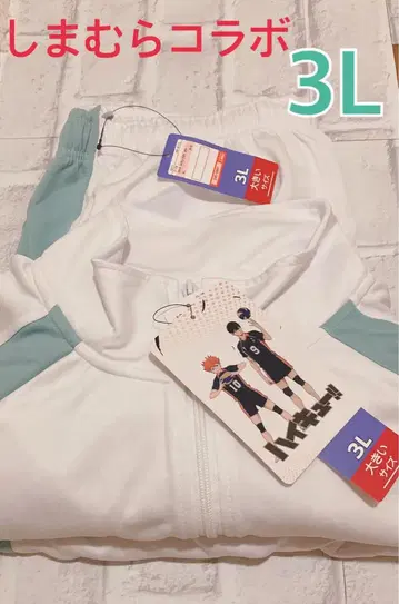 하이큐!! 시마무라 콜라보 아오바죠사이 저지 3L