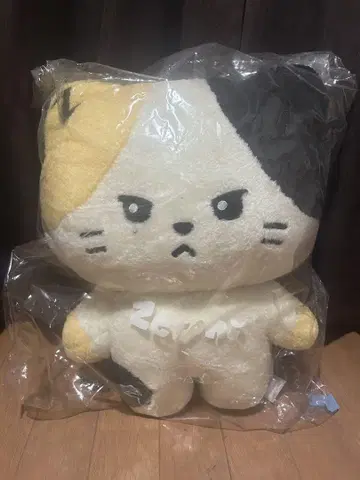 zeroni rinini 플랫 봉제 인형