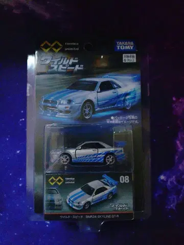 와일드 스피드 skyline gt-r