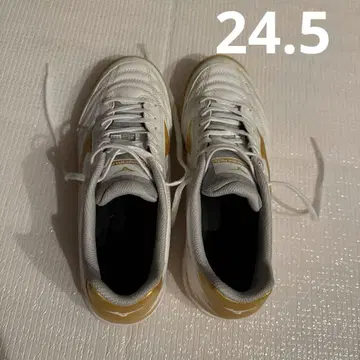 미즈노 풋살화 화이트/골드 24.5cm