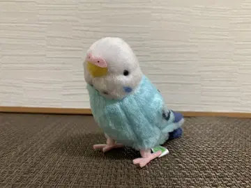 요시토쿠 코토리노네 세키세이 잉꼬 블루 봉제 인형